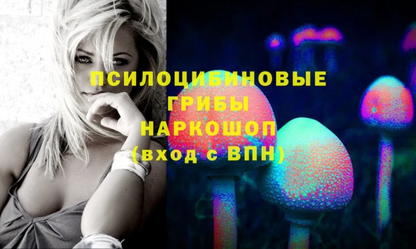 соль ск Верея